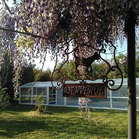 La Ferme Du Bien Etre Bed & Breakfast Athée-sur-Cher Екстериор снимка